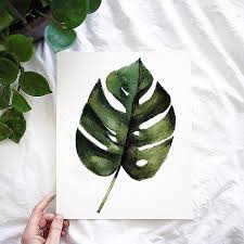 How to create the monstera leaf. Monstera Leaf Watercolor Kit Let S Make Art