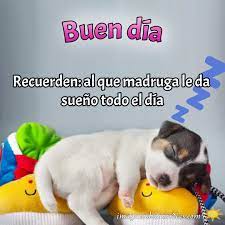 Imagenes Buenos Dias Chistosas Imagenes De Buenos Dias