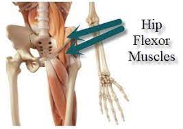 Abduction of the hip joint is limited by tightness in the adductor muscles and the pubofemoral ligaments. Hip Flexor Muscle