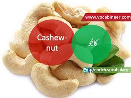 Fruits Vocabulary With Urdu Hindi Pictures Vocabulary In Urdu Fruits Names With Pictures Fruits Vocabulary English Vocabulary Esl Vocabulary Learn English