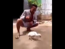 Tonton deh video lucu banget ini, biar kamu bisa liat ekspresi mana yang paling juara kagetnya. Download Video Lucu Durasi Pendek Untuk Whatsapp Edukasi News