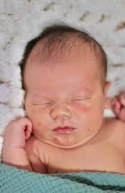 Beginners Photography Group