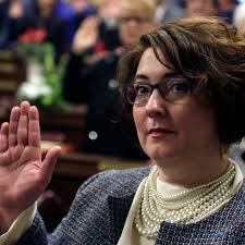 My moment': the activists fighting climate crisis and winning elections