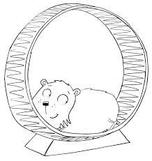Cute Hamster Coloring Pages Pdf Printable Free Coloring Sheets Animal Coloring Pages Snake Coloring Pages Cute Hamsters