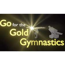 Our gym has the newest and safest equipment in the industry. Go For The Gold Gymnastics Academy Posts Facebook