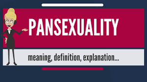 What Is Pansexuality What Does Pansexuality Mean Pansexuality Meaning Definition Explanation Youtube