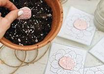 Seed Paper Making Workshop