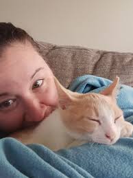 Have you seen my lost cat Bingo near Parley Coburn Elementary School?