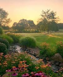 Download and use 30,000+ aesthetic wallpaper stock photos for free. Keanu On Twitter In 2021 Nature Aesthetic Dream Garden Nature Photography