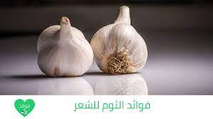 فوائد الثوم للشعر الثوم يعطيك أفضل حماية وجمال وكثافة لشعرك garlic vegetables food