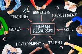 Free for commercial use no attribution required high quality images. Human Resources Associate Job Description What Does Hr Do