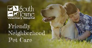 Harris funeral home & pets at peace, rochester, ny. Insurance Center Rochester Animal Hospital