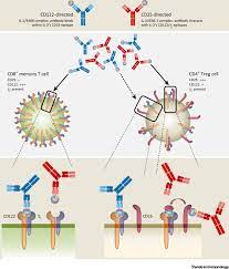 Interleukin 2 Biology Design And Application Sciencedirect