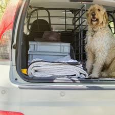 Leon strohmaier vom adac berlin. Alunet Schattiernetz Fur Auto Schutz Fur Hund 3x6 M Supermagnete De