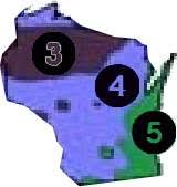 What trees grow best in wisconsin. Buy Wisconsin Trees Wi Shade Tree Sale Best Wisconsin Fruit Tree