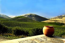 Este artigo é patrocinado por: 15 Melhores Coisas Para Fazer Em Tondela