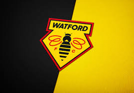 Soiled on back or front. Watford Fc Logo Challenge Reflect Digital