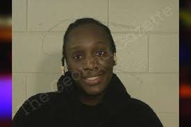 Yolanda Britton — Liberty County Jail Bookings