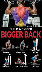 Back Workout Muscle Stack Bulking Stack How To Bulk Up How To Get A Big Back Back Exercises Muscles In Your Back Weight Training