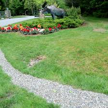 Since these yard drainage ideas allow storm water to sink into the soil gradually, they help reduce flooding. How To Remove Standing Water From Your Yard