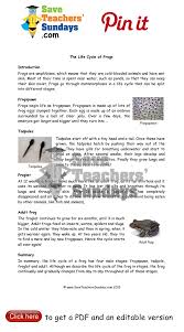 Pin Di Year 2 Animals Including Humans Lesson Plans Worksheets And Teaching Resources