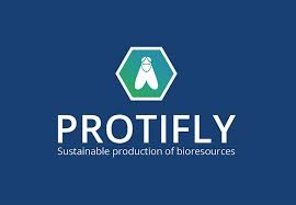 Tendance Interview Maxime Baptistan Protifly Maxime Innovation Fondateur