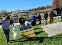 Annual Corn Maze & Halloween Pawty