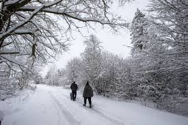 @helgavanleur @snowhour @marcopverhoef @boswachtertim @weerplaza @adnl @nunl @l1 @weermanreinier pic.twitter.com/tfy3tkkjqn. Winterprik Op Komst Donderdag Ook In Delen Van Vlaanderen Kans Op Sneeuw Metro