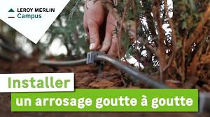 Nous disposons de tout le matériel pour une irrigation professionnelle de qualité. Comment Installer Un Arrosage Goutte A Goutte Leroy Merlin Youtube