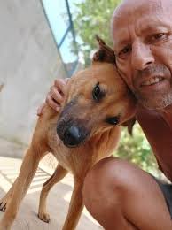 And for the animals, Moon Brown represents.