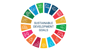 The sdgs aim to significantly reduce all forms of violence, and work with governments and communities to end conflict and insecurity. Covid 19 Helps Put Sdgs More Than 60 Years Behind Schedule