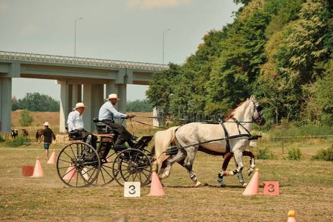 Horse carriage editorial photo. Image of means, street - 103783086