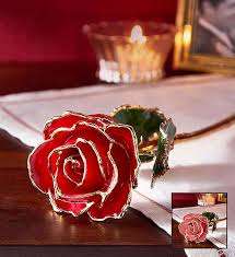 Gold dipped flower pots that look lovely on our white windowsill. 24k Gold Rose Gold Dipped Rose 1800flowers Com 155097