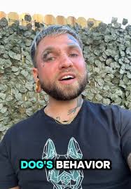 Transform Your Dog's Behavior with Expert Training