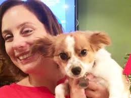 Fundraiser by Andrea Germano : Josephine's Pups