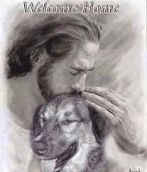 Prayer For A Departed Pet Loss Of Dog Description From Pinterest Com I Searched For This On Bing Com Images Dogs Dog Love Animals