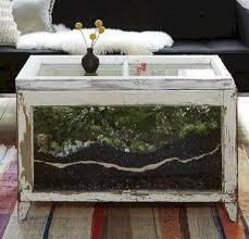 So i finally got down to it and built a terrarium coffee table! 25 Incredible Terrarium Coffee Table Ideas Freshouz Com Terrarium Decor Coffee Table Terrarium Terrarium Table