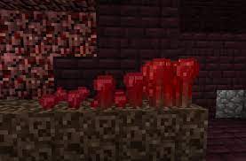 This seems like something we should encourage be collected to earn any rewards when! Nether Wart Farming In Minecraft 1 0 Arqade