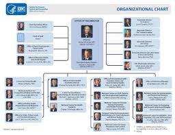 Graphic Cdc Organizational Chart Career Organizational