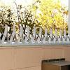 Any spikes fence can install on cinder block wall to prevent rats and possums from climbing over the wall into your yard. Https Encrypted Tbn0 Gstatic Com Images Q Tbn And9gcqha4ytr1utzwj5nd I56z526aszz Mcn1brp37oaou6478mf27 Usqp Cau