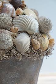 mooie decoratie met schelpen diy interieur ideeen elsarblog decoratie schelpen schelpendecoratie