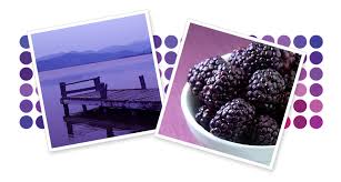 Matte finish in over 180 paint colours. Spray Paint Color Families Purple Spray Paint Krylon