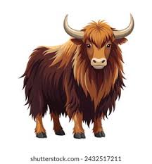Image result for yak