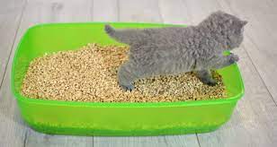 The reason for this, is that it will give your cat enough litter for digging and covering, but it will not be so deep, that it gets kicked out of the box and on to your floor. Litter Box Training Your New Kitten Petcoach