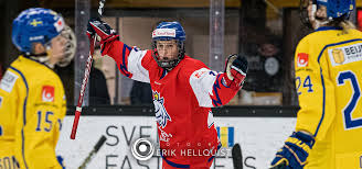 The dutchmen are a member of ecac hockey. Damkronorna Straffades Mot Tjeckien Hockeyettan Se