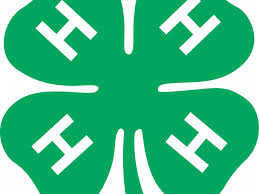 Trace the clover coloring page. Good Looking 4 H Clipart Transparent Background 4 H Clover Png Download Full Size Clipart 127086 Pinclipart