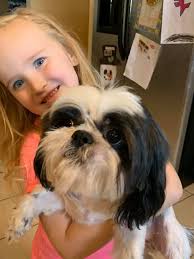 Lost tablet at state park, seeking owners?