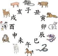 Chinese Animal Symbols And Their Meanings Fotos Signos