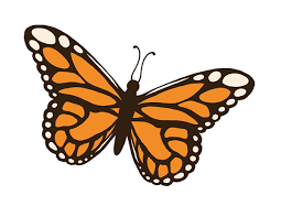 Image result for insect clipart