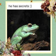 Pin By Caitlin On Ac Nonsense Funny Frogs Cute Frogs Frog Pictures